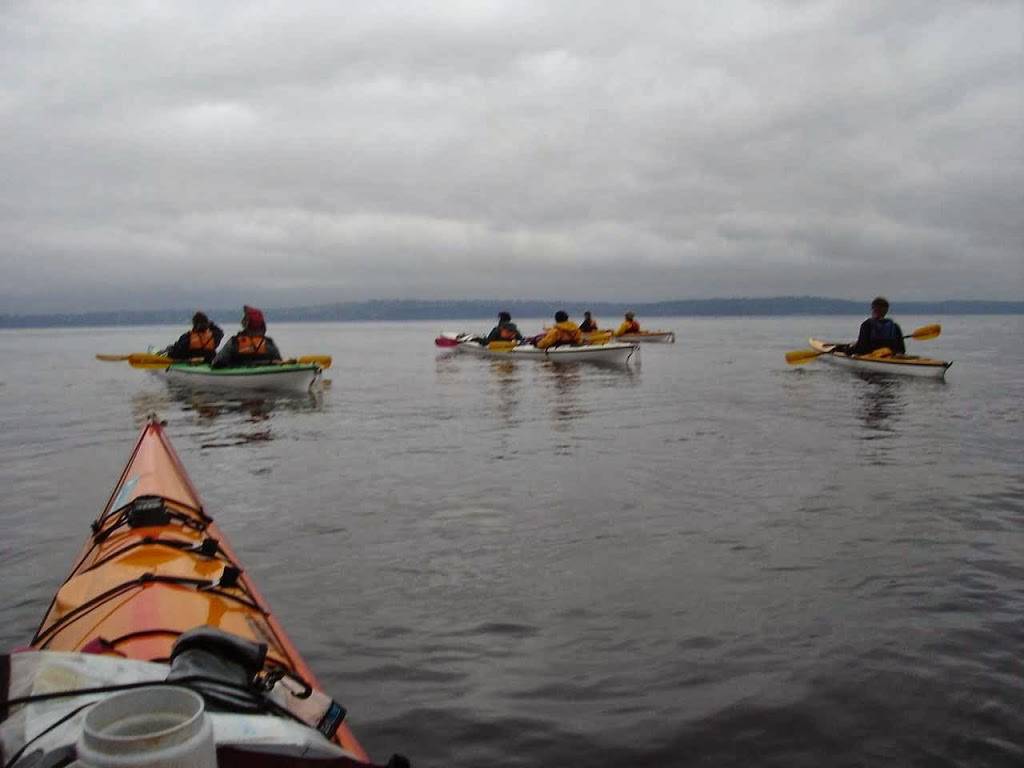 Alki Kayak Tours | 1660 Harbor Ave SW, Seattle, WA 98126 | Phone: (206) 953-0237