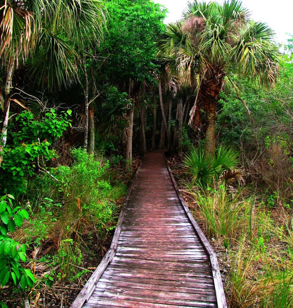 Hammock Trails -Oak Hammock , Palm Hammock | Florida, USA