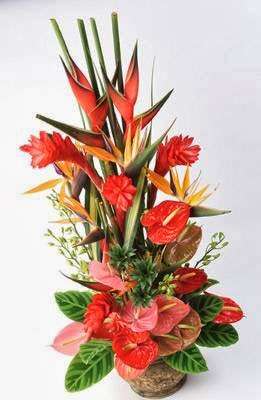Sprout Fine Floral Concepts | 1018 Sawdust Rd, The Woodlands, TX 77380, USA | Phone: (281) 203-5040
