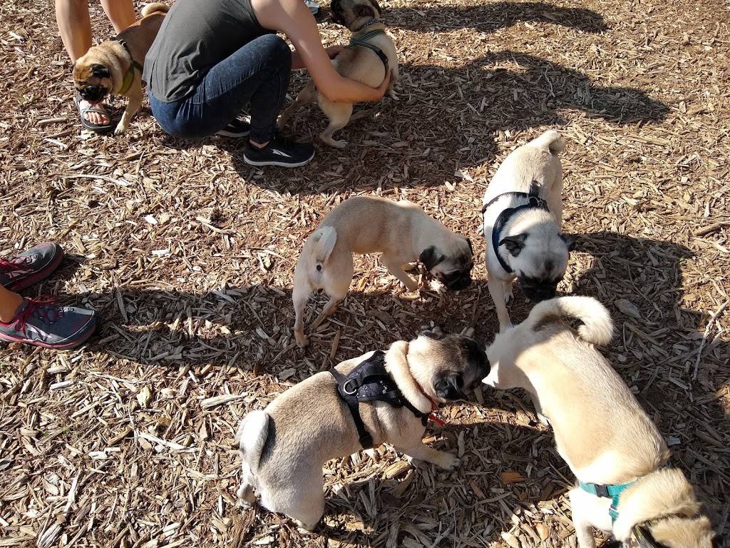 Fossil Creek Dog Park | 5883-5901 S Lemay Ave, Fort Collins, CO 80525, USA | Phone: (970) 221-6660