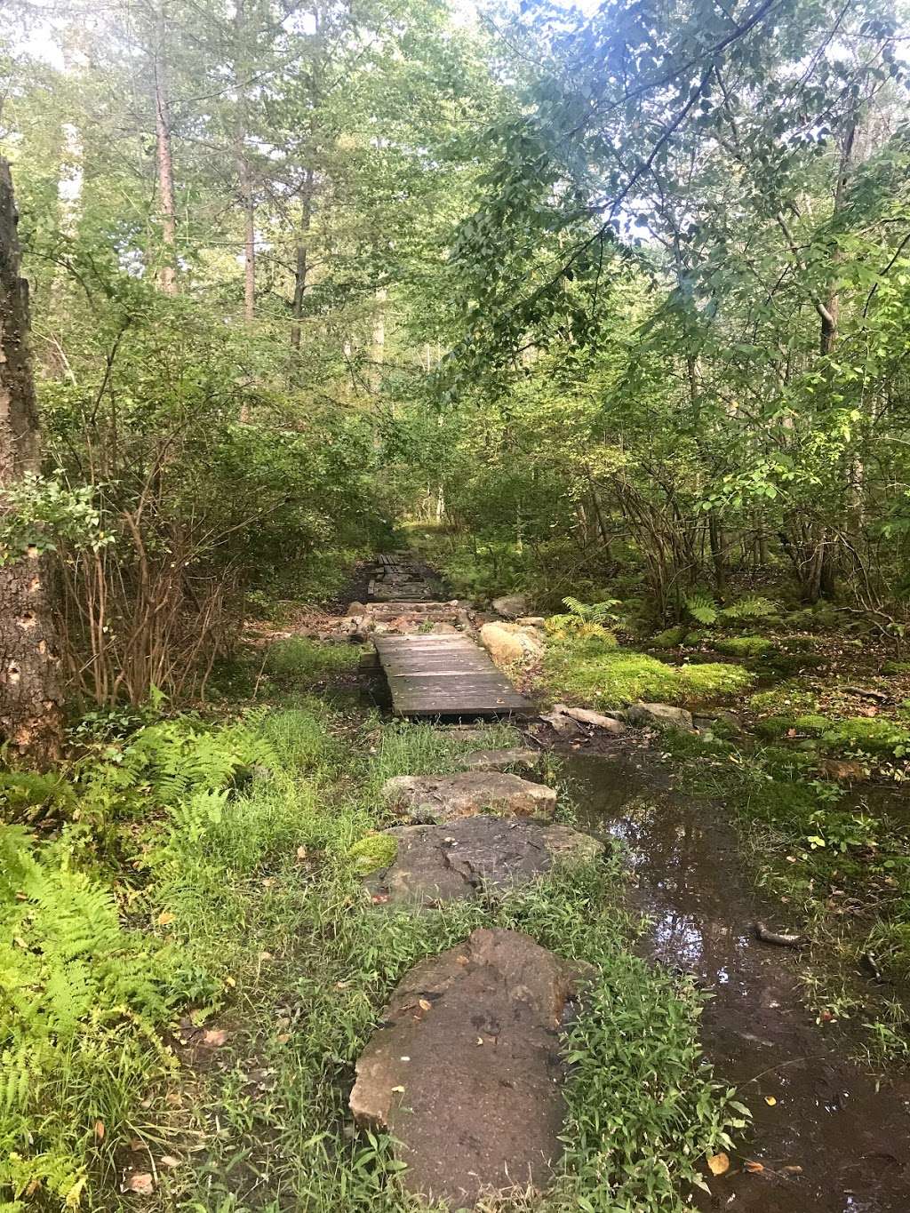 Rattlesnake Trail | Blairstown, NJ 07825, USA