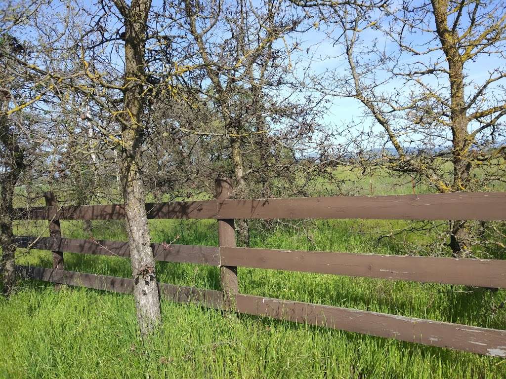 North Kelly Farm Trailhead | 5420 Occidental Rd, Santa Rosa, CA 95401, USA | Phone: (707) 433-1625