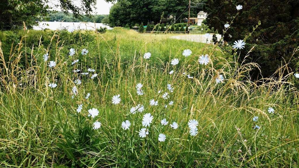 Bear Swamp Wildlife Management Area | Newton, NJ 07860, USA | Phone: (973) 383-0918