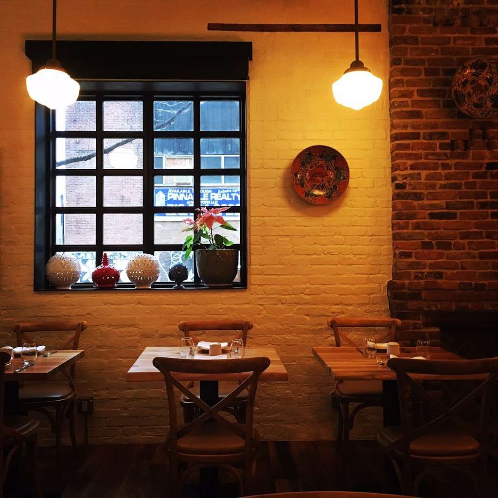 Naked Dog | 47 Java St, Brooklyn, NY 11222, USA | Phone: (929) 337-8096