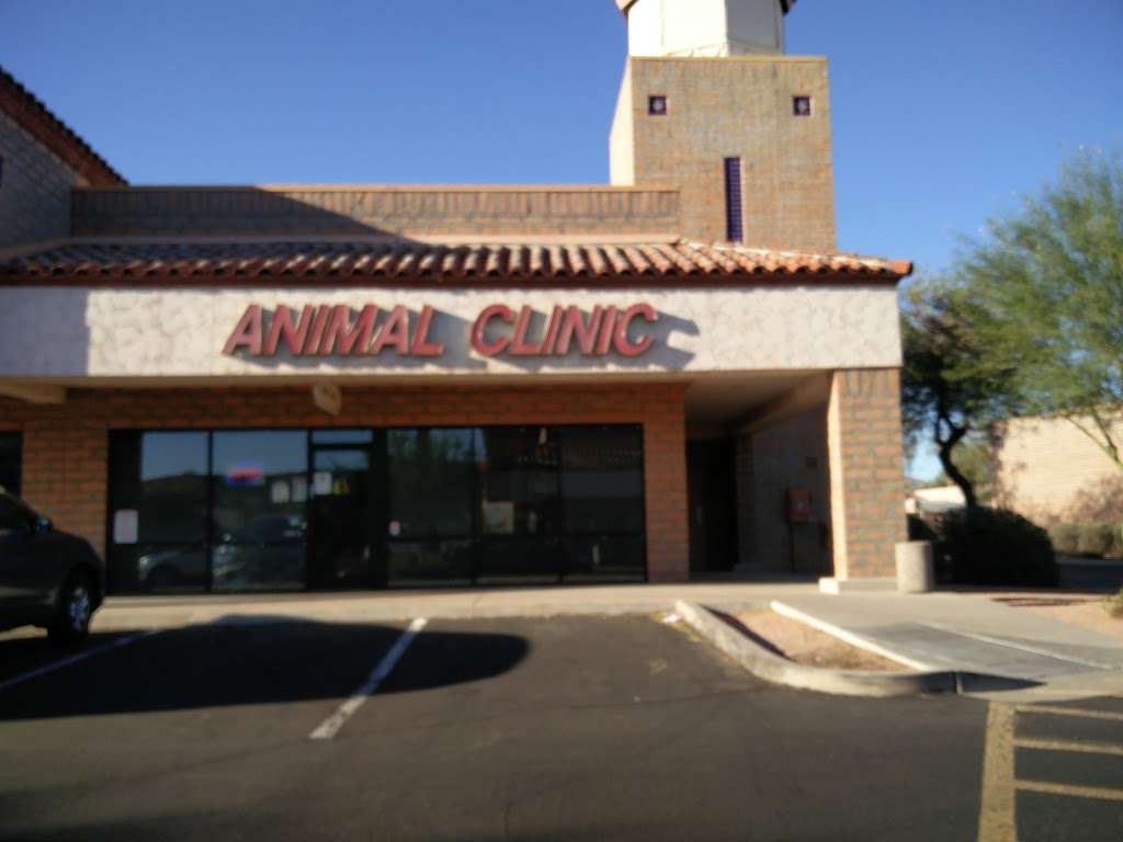 South Mountain Vet Clinic | 3636 E Ray Rd #20, Phoenix, AZ 85044 | Phone: (480) 759-4800