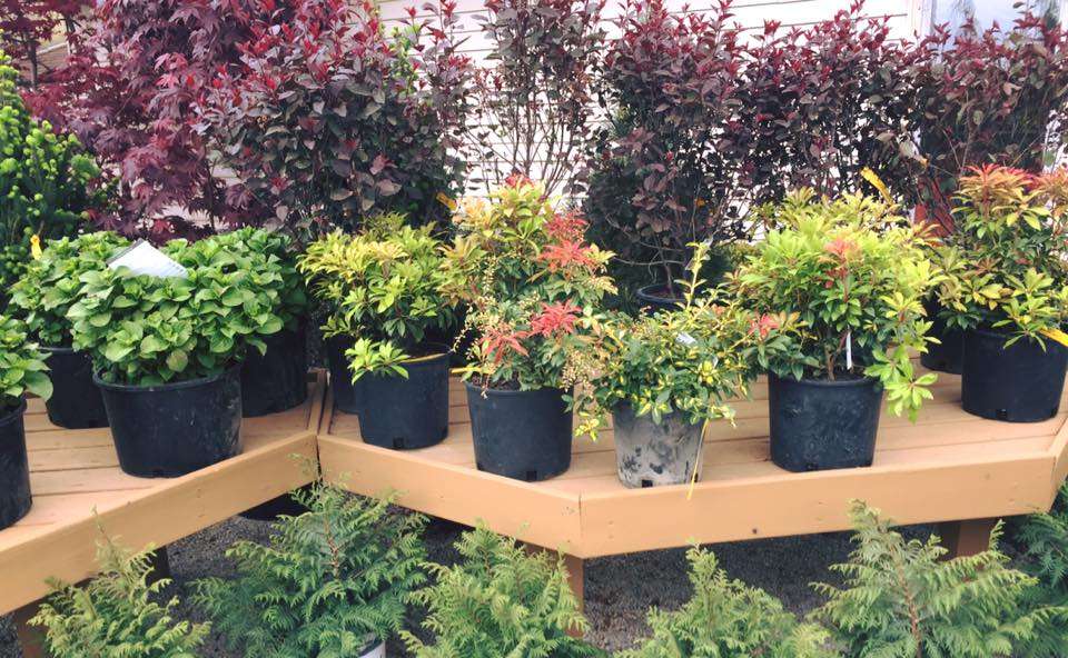 Tholens Landscape & Garden Center | 31 E Seedorf School Rd, Kankakee, IL 60901 | Phone: (815) 939-9670