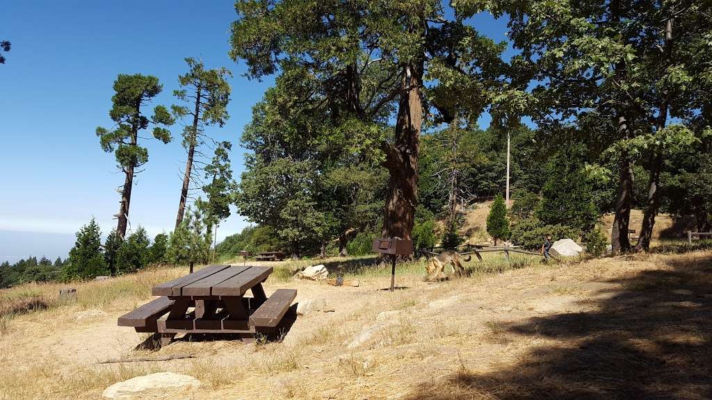 Crest Park Picnic Area | Lower Crest Rd, Crest Park, CA 92326, USA | Phone: (909) 382-2600