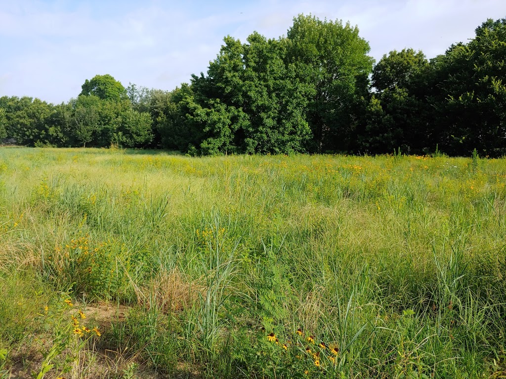 Wildflower Butterfly Habitat | 3009 Creekview Dr, Grapevine, TX 76051, USA | Phone: (817) 410-3450