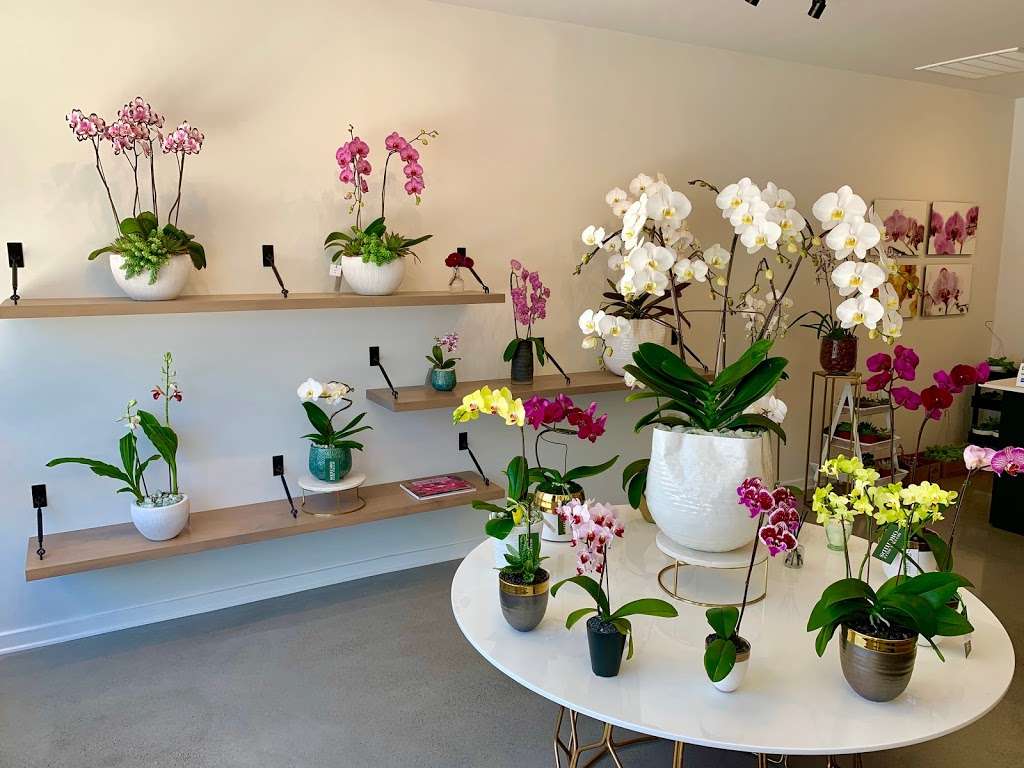 Beverly Hills Orchids | 368 S Maple Dr, Beverly Hills, CA 90212, USA | Phone: (310) 503-1200