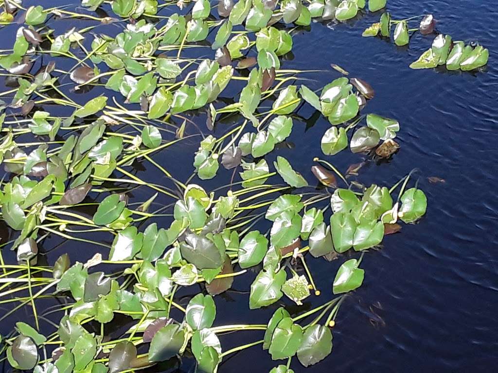 Stormwater Public Access Wildlife Observation Center | Florida, USA