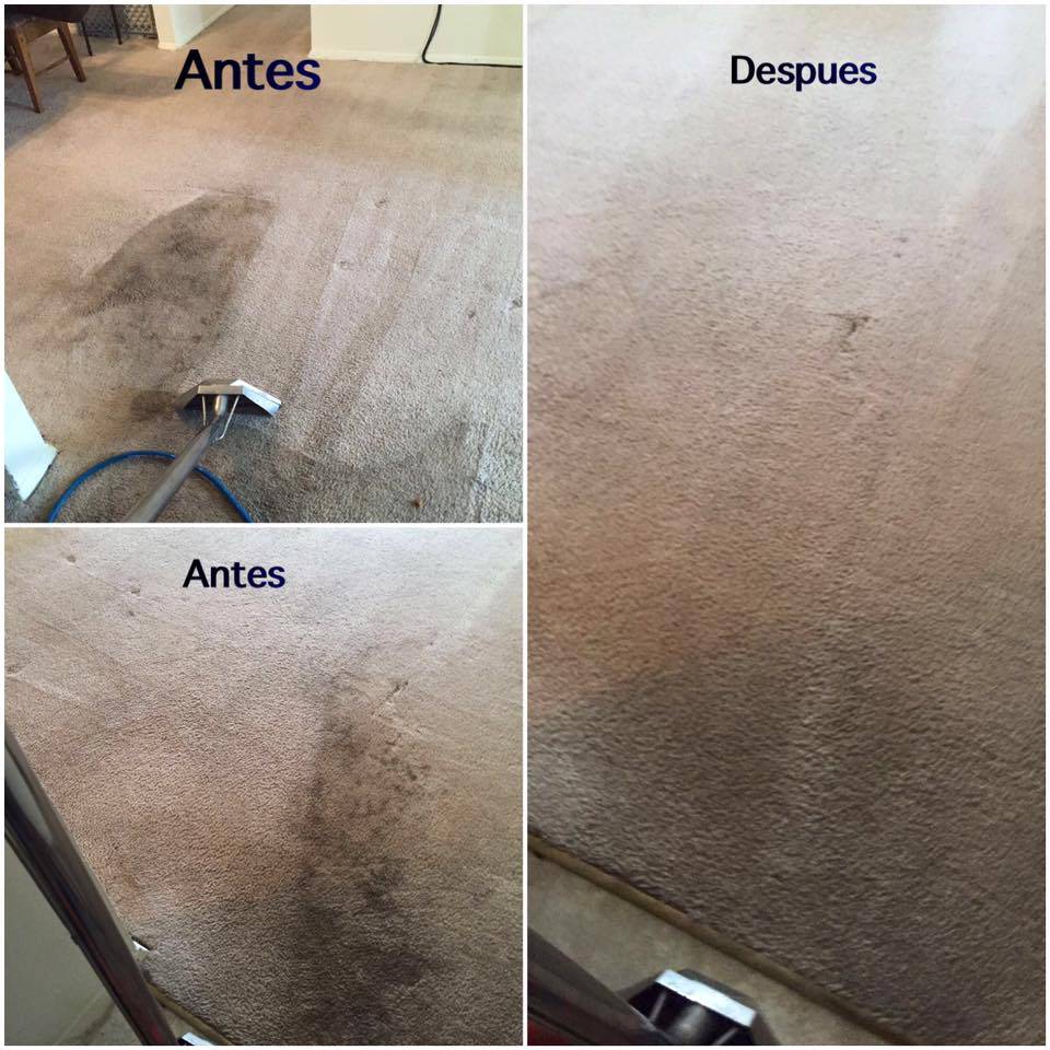 The Boss Carpet & Floor Cleaning, LLC | 2507 Exhall Ct, Chester, VA 23831, USA | Phone: (804) 922-2002