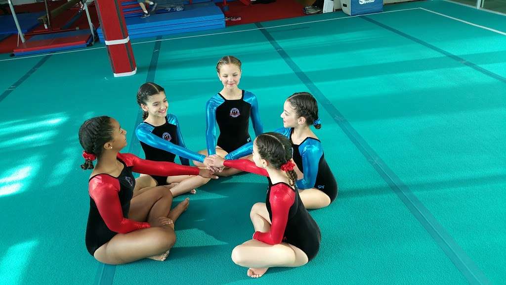 The Gymnastics Academy | 13954 SW 8th St, Miami, FL 33184, USA | Phone: (786) 577-0653