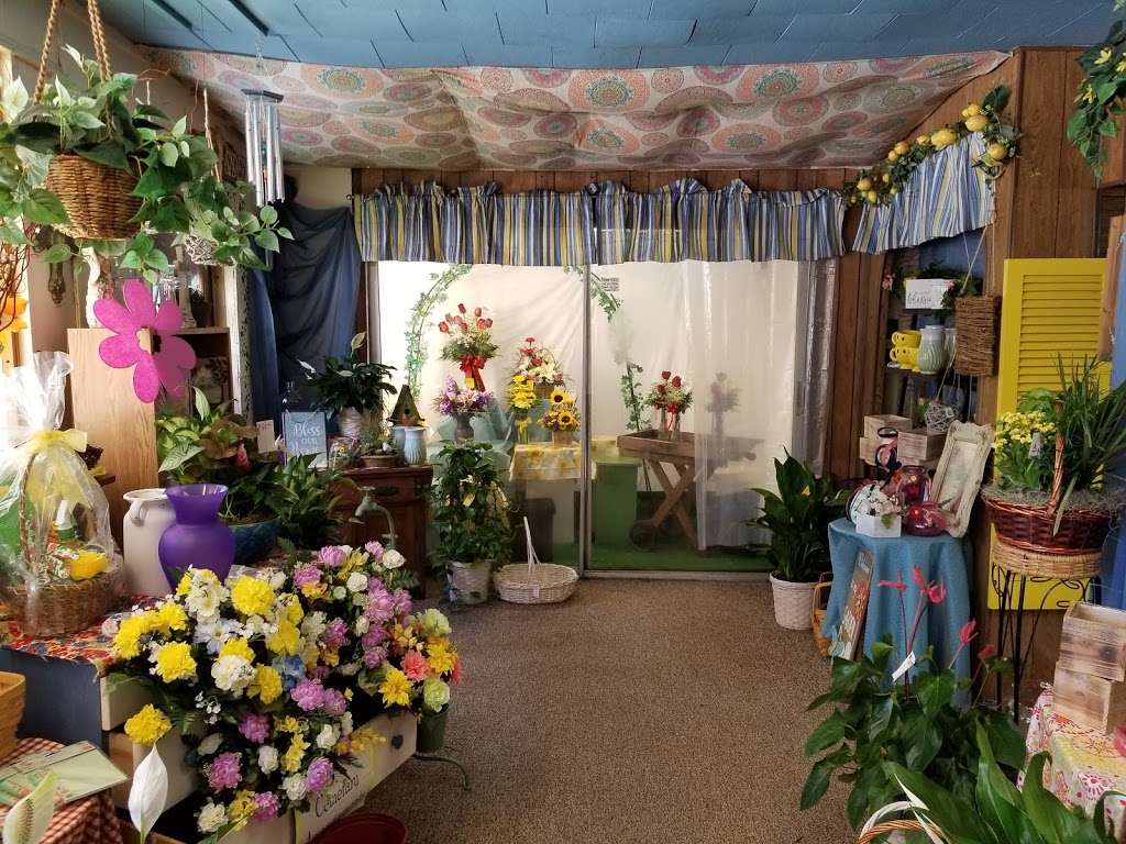 Bellevue Avenue Florist | 1300 Bellevue Ave, Daytona Beach, FL 32114 | Phone: (386) 255-7447