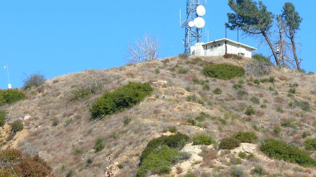 Willie Mann Memorial Chair | Wildwood Peak Rd, Burbank, CA 91501, USA