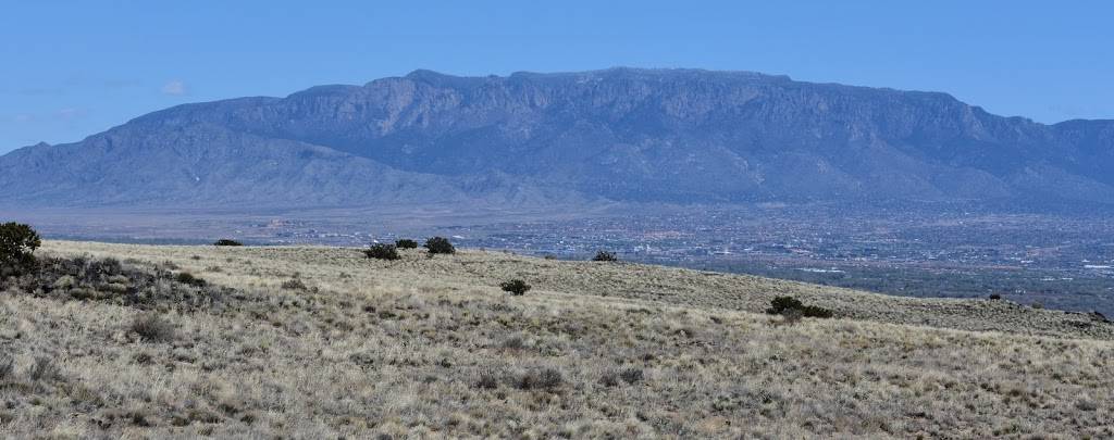 Black Volcano | Double Eagle, Albuquerque, NM 87111, USA | Phone: (505) 899-0205