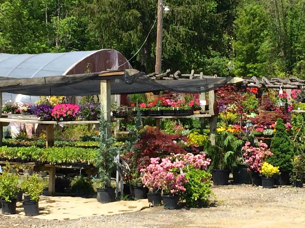 Kospia Farms | 2288 State St, Alburtis, PA 18011, USA | Phone: (610) 682-7233