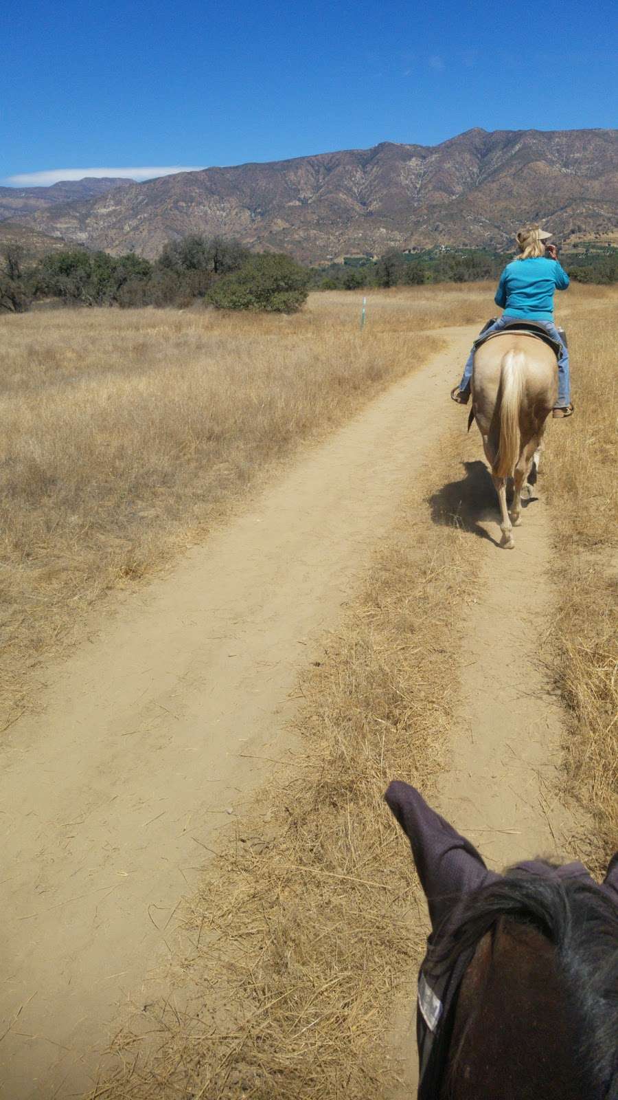 Western Trail Rides | 559 S Rice Rd, Ojai, CA 93023 | Phone: (805) 640-8635