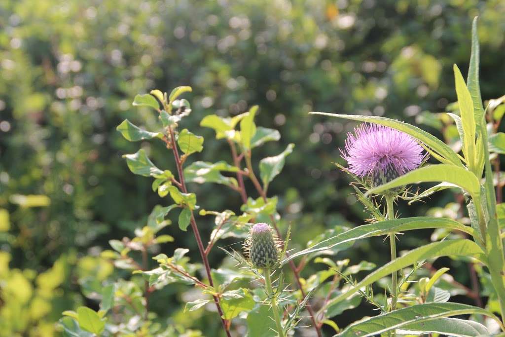 Phil Sander Park | 12735-11601 Lakeshore Dr, Pleasant Prairie, WI 53158, USA