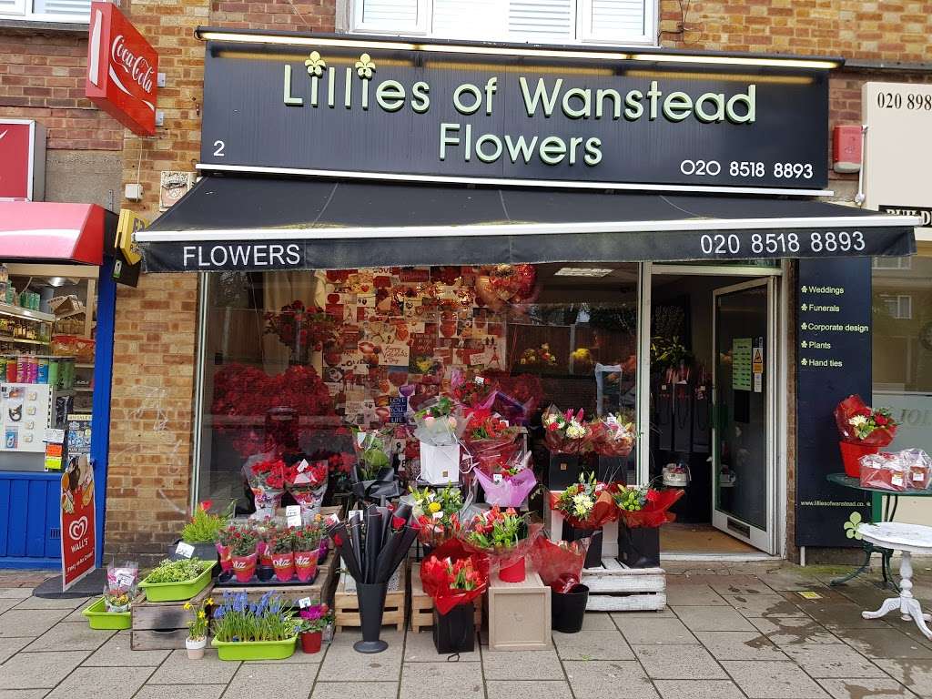 Lillies Of Wanstead | Gwynne House, High St, Wanstead, London E11 1QH, UK | Phone: 020 8518 8893