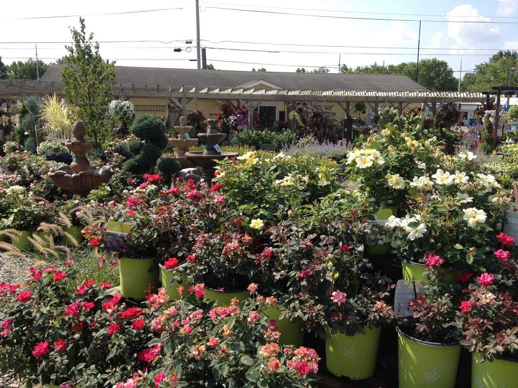 Salsbery Garden Center | 6346 W Broadway, McCordsville, IN 46055 | Phone: (317) 335-5550