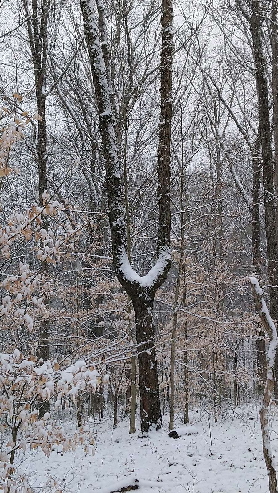 Bluebird Trail trailhead | Unnamed Road, Bloomington, IN 47401, USA