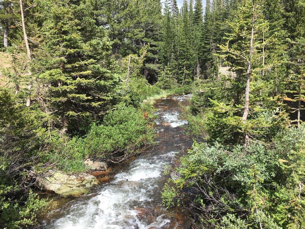 meadow trail | Cirque Meadow Trail, Bellvue, CO 80512, USA