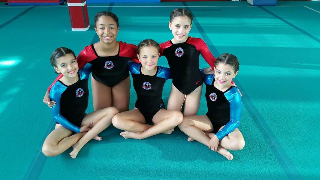 The Gymnastics Academy | 13954 SW 8th St, Miami, FL 33184, USA | Phone: (786) 577-0653