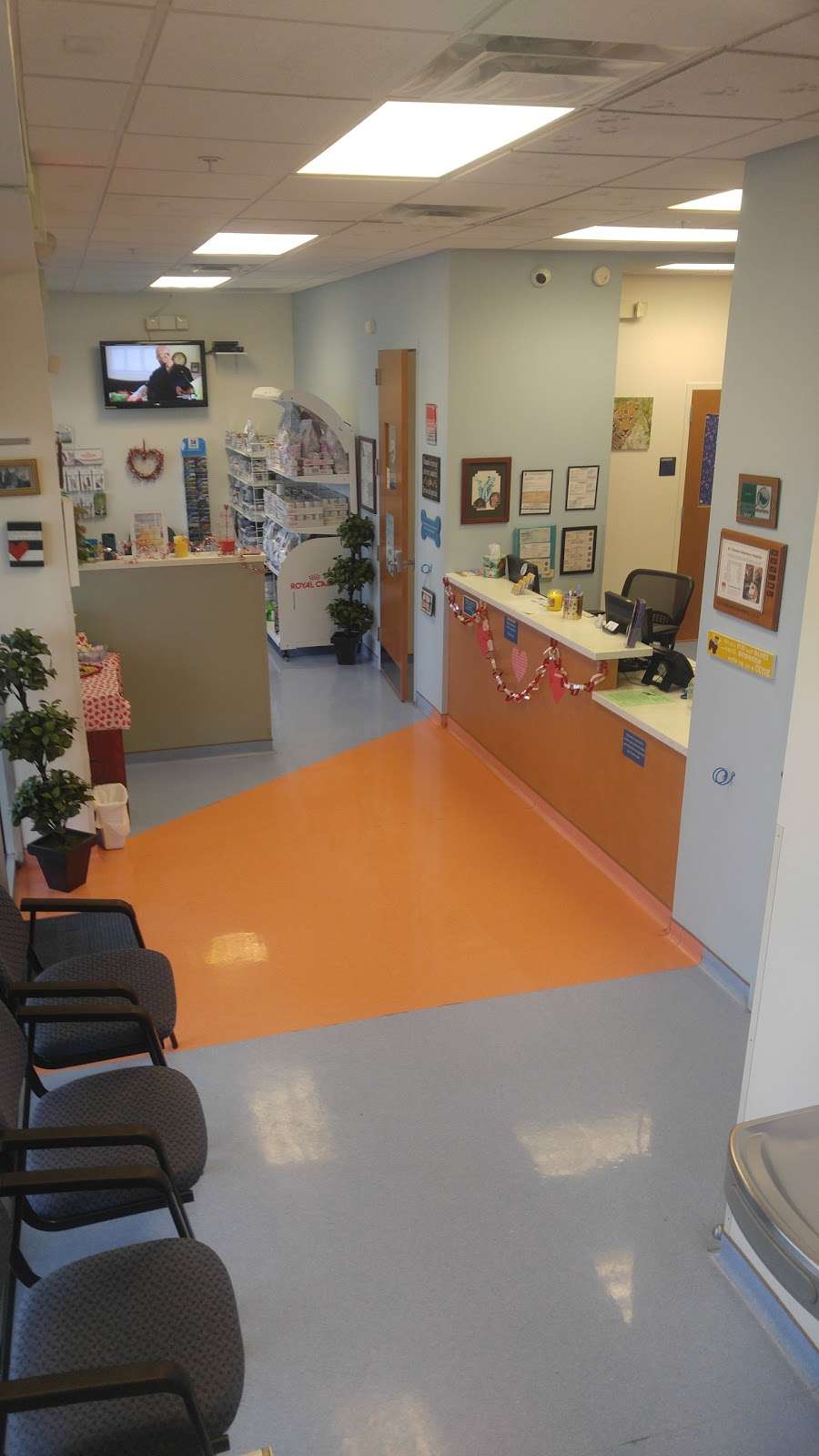 St Charles Veterinary Hospital | 2360 North Blvd W, Davenport, FL 33837, USA | Phone: (863) 438-6600