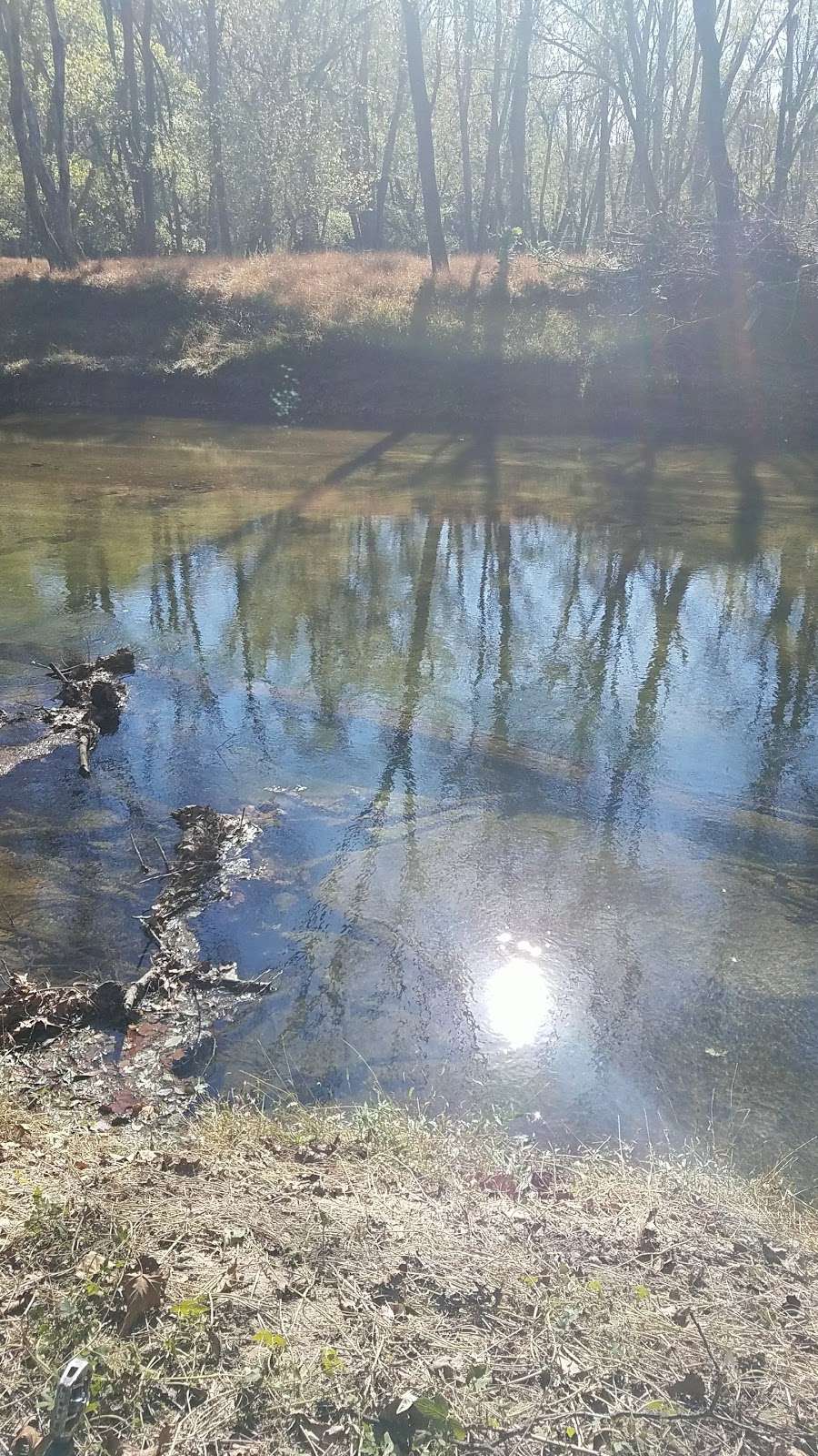 McKeldin Rapids Hike | 5, Freedom, MD 21104