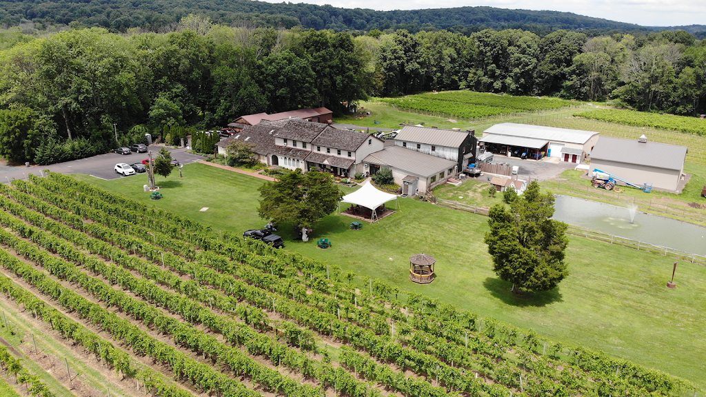 Buckingham Valley Vineyards | 1521 Durham Rd, Buckingham, PA 18912, USA | Phone: (215) 794-7188