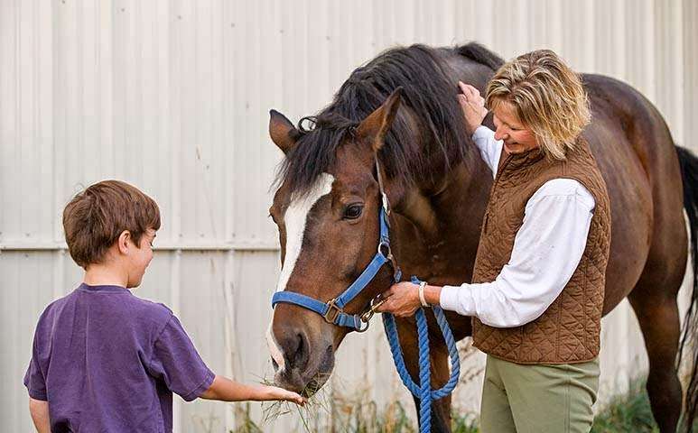 CENTERVILLE FARM AND FEED INC | 12156 Ellis Rd, Centerville, KS 66014, USA | Phone: (913) 898-2260