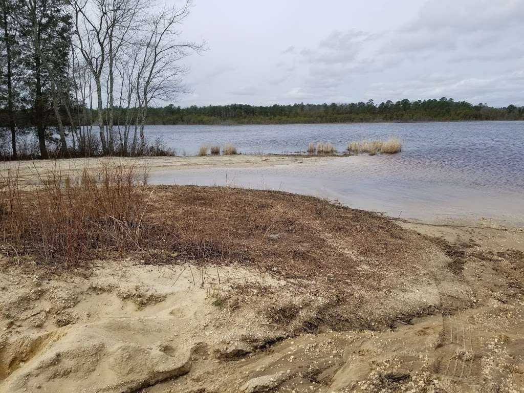 Stafford Forge Wildlife Management Area | West Creek, NJ 08092