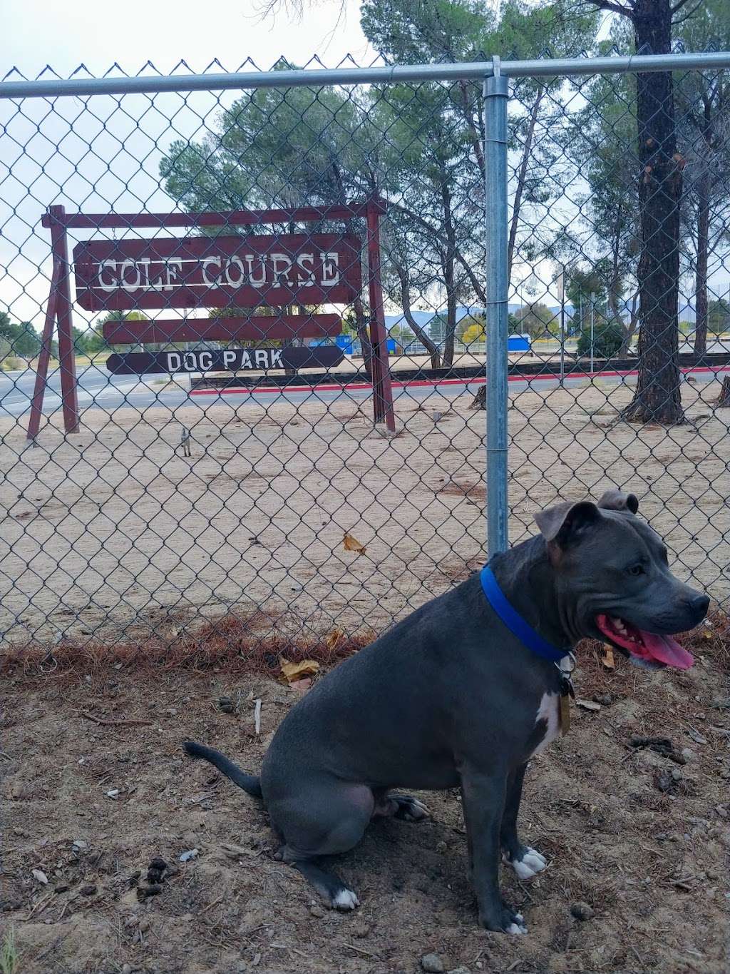 California City Dog Park | California City, CA 93505
