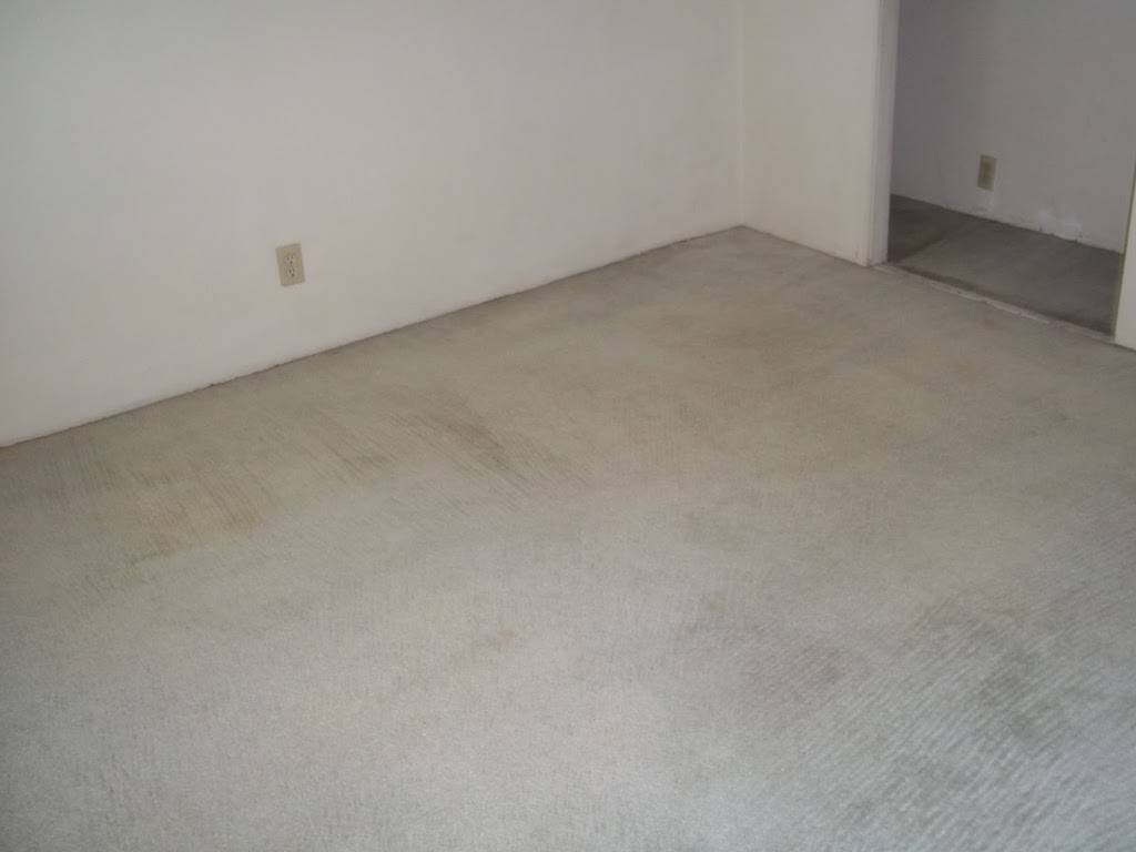 The Original Tucson Carpet Cleaners | 7000 E Boojum St, Tucson, AZ 85730 | Phone: (520) 240-5785