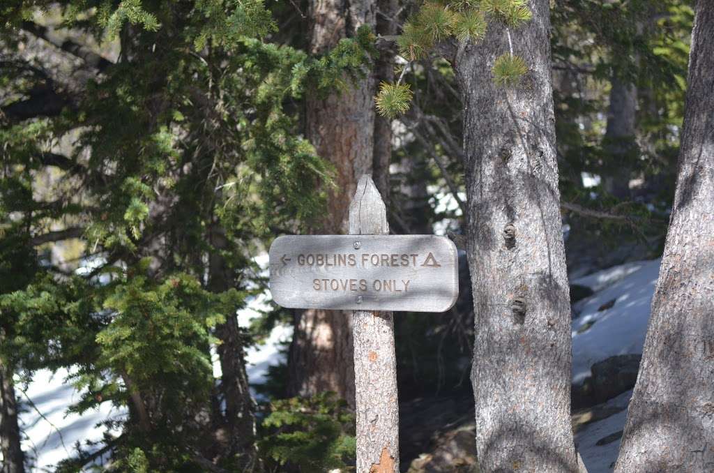 Goblins Forest | Estes Park, CO 80517, USA