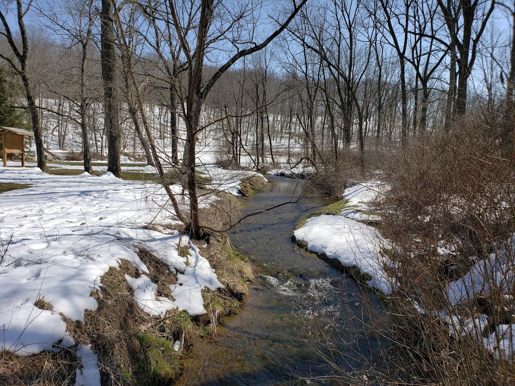 East Branch Codorus Trout Fishing | 3600 Sunlight Dr, Felton, PA 17322, USA