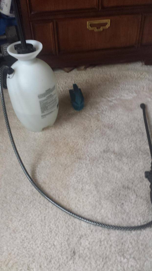 lox rug & carpet cleaning today | 15536 Carfax Ave, Bellflower, CA 90706, USA | Phone: (202) 335-2107