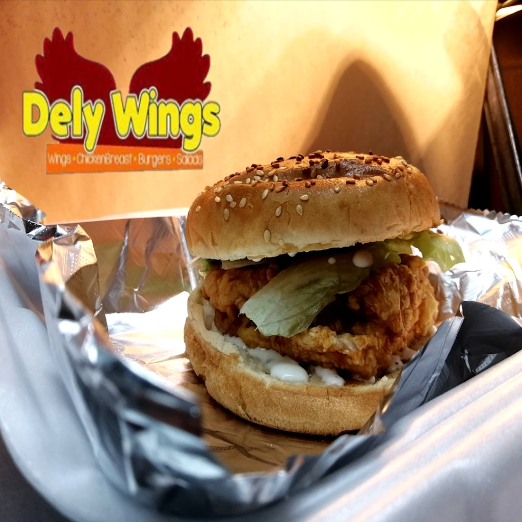 DelyWings | Calle Pitahaya 5715, Ampliación Aeropuerto, 32661 Cd Juárez, Chih., Mexico | Phone: 656 524 1485