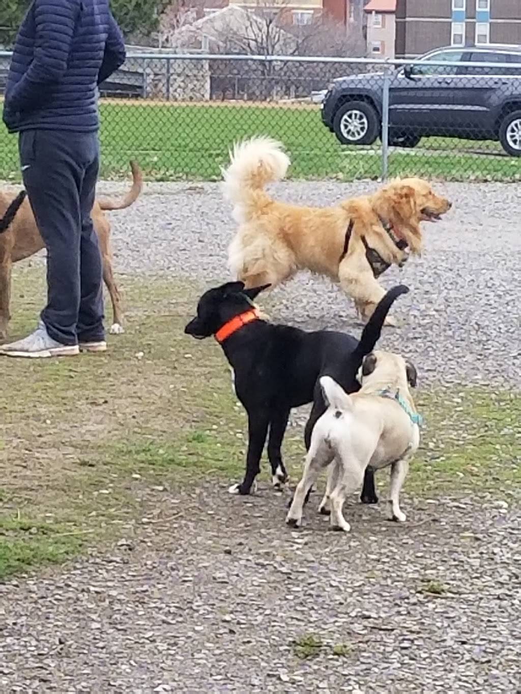 The Barkyard - Off-Leash Dog Park | D A R Dr, Buffalo, NY 14202 | Phone: (716) 218-0303