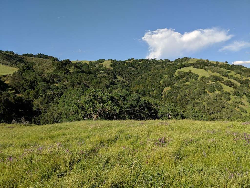 Trail from Horses Heaven to Picnic Grounds | Morgan Hill, CA 95037, USA