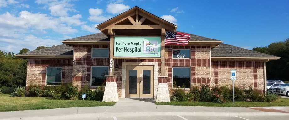 East Plano Murphy Pet Hospital | 627 FM 544, Murphy, TX 75094, USA | Phone: (972) 516-0717 East Plano Murphy Pet Hospital | 627 FM 544, Murphy, TX 75094, USA | Phone: (972) 516-0717