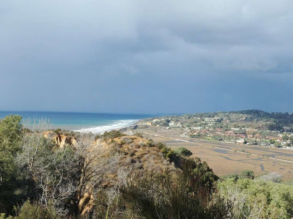 Torrey Pines State Reserve | 12600 N Torrey Pines Rd, La Jolla, CA 92037, USA | Phone: (858) 755-2063