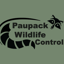 Paupack Wildlife Control | 121 Gumbletown Rd, Paupack, PA 18451, USA | Phone: (570) 251-1544