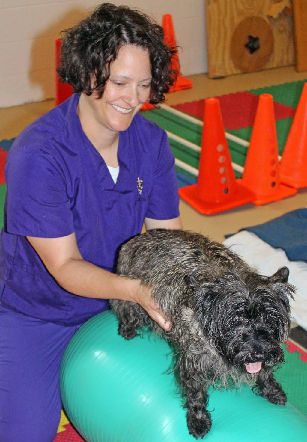HEAL Integrative Veterinary Center | 1848 Waldorf Blvd, Madison, WI 53719, USA | Phone: (608) 845-0144