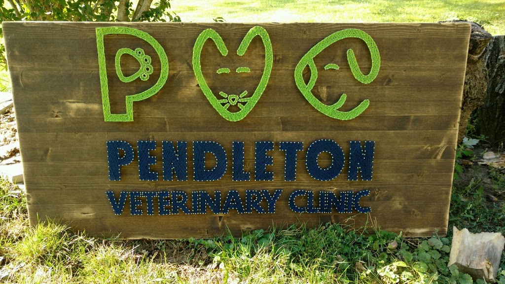 Pendleton Veterinary Clinic | 1011 S Pendleton Ave, Pendleton, IN 46064 | Phone: (765) 778-2909