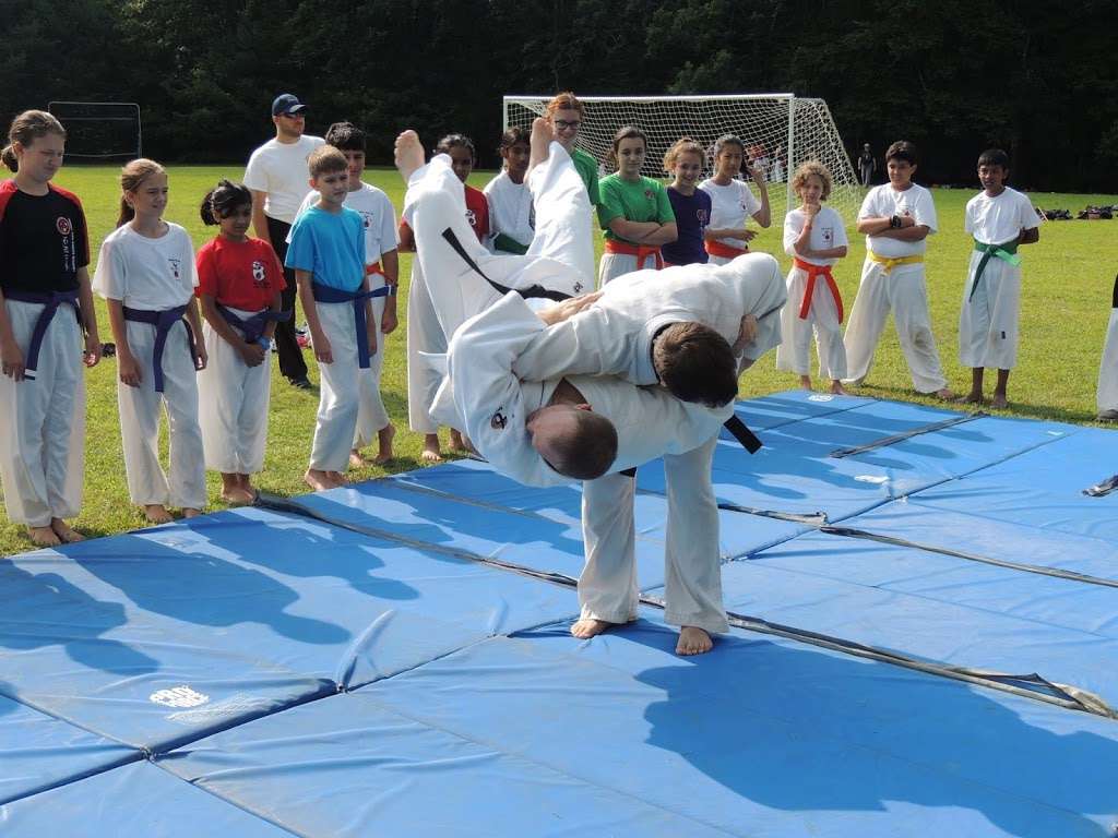 Jersey Judo Karate Academy | 501 US-46 &, N Dell Ave, Kenvil, NJ 07847, USA | Phone: (973) 328-0595