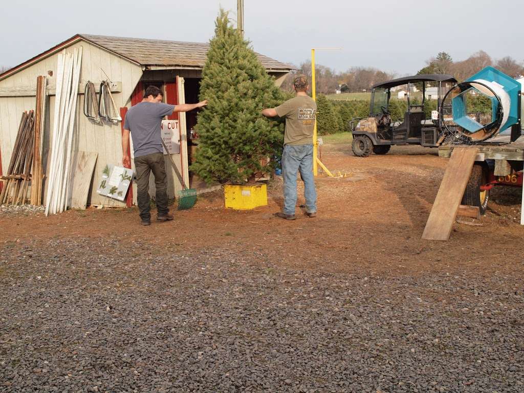 McDermotts Christmas Tree Farm LLC | 130 Roadstown Shiloh Rd, Shiloh, NJ 08353, USA | Phone: (609) 364-4137