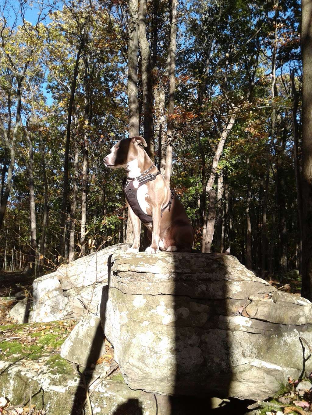 Hemlock Farms Mailroom and Ballfield in Hemlock Farms Rd, Hawley, PA