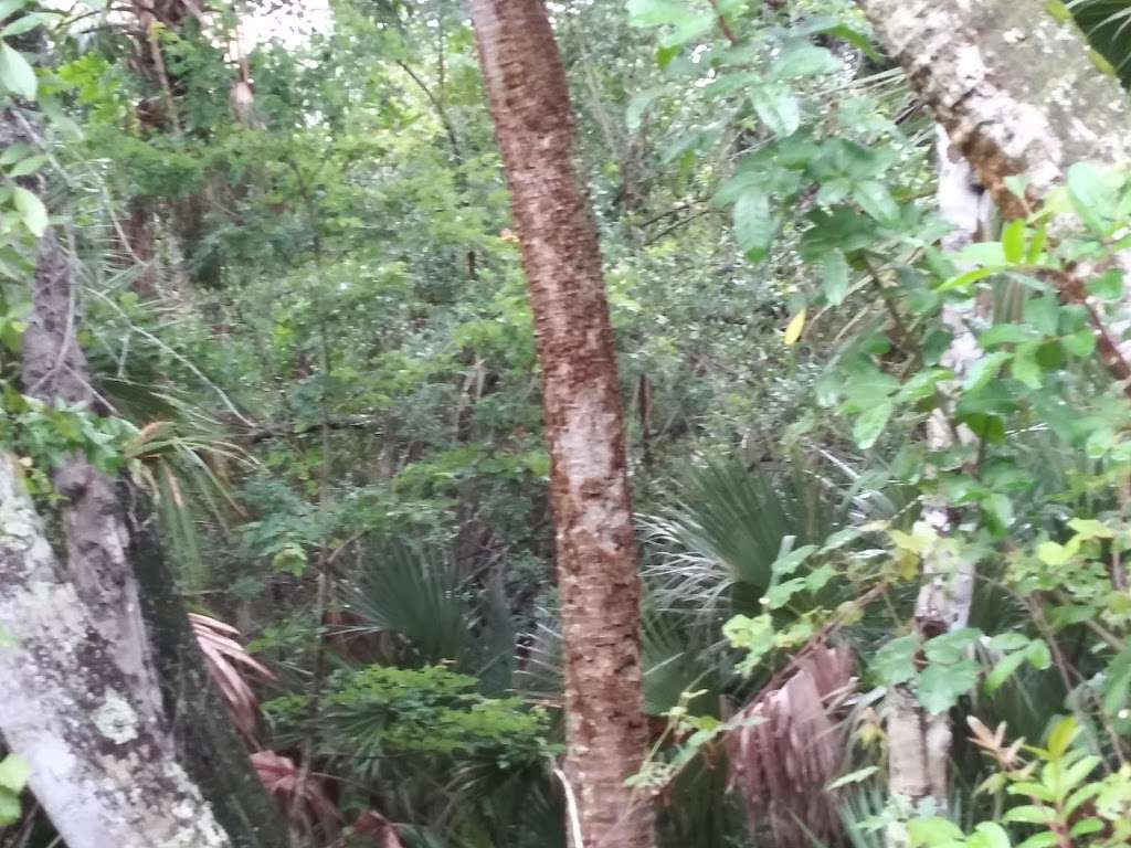 Brevard Zoo Linear Park | Unnamed Road, Melbourne, FL 32940, USA