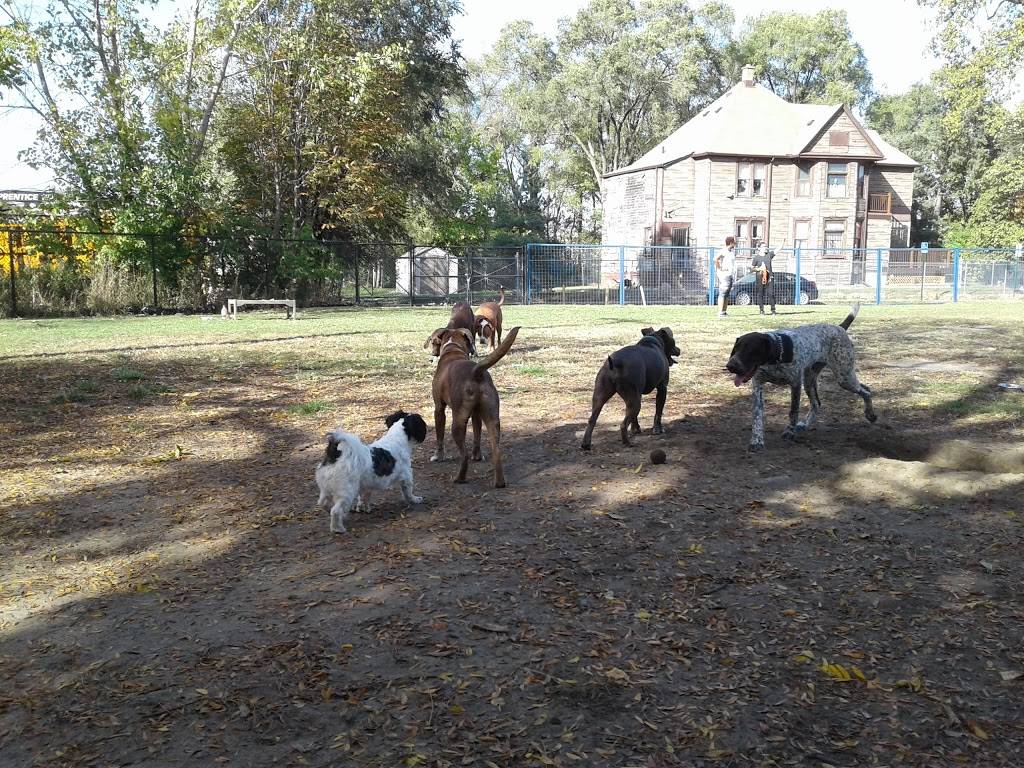 Detroit Dog Park | 2699 Rose St, Detroit, MI 48216, USA | Phone: (313) 224-1129